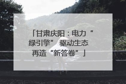 甘肃庆阳：电力“绿引擎” 驱动生态再造“新答卷”